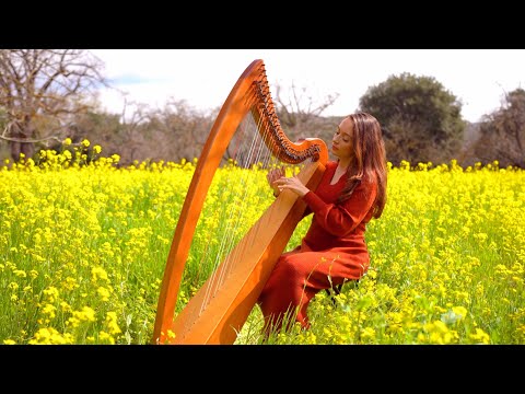 Garden of Peace I 1 Hour of Harp Music I Sarah Bhalla