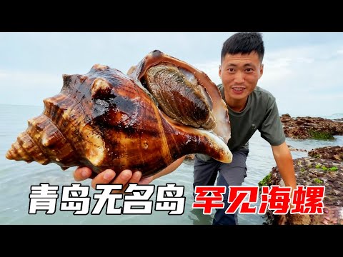 山东青岛无名岛（1~10）：垃圾废物利用制作抽水装置，下海摸到罕见海螺，像牛皮糖一样Q弹有韧性【户外平头哥】
