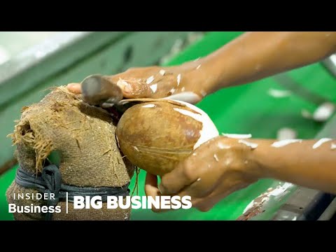Why Coconut Farmers Risk Their Lives To Feed The World