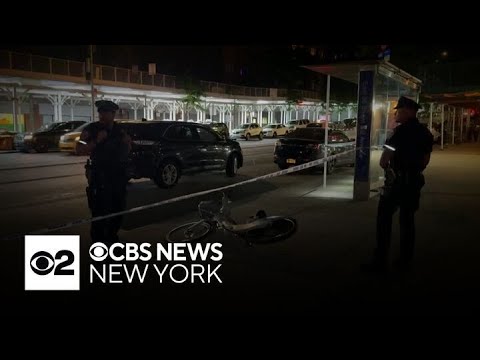 Boys, 12 and 13 years old, arrested in attack on former Gov. David Paterson, stepson