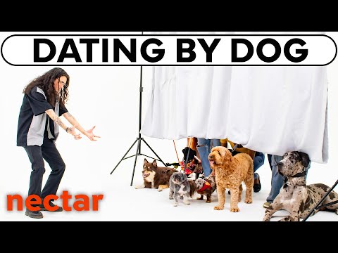blind dating 6 women by dogs | vs 1