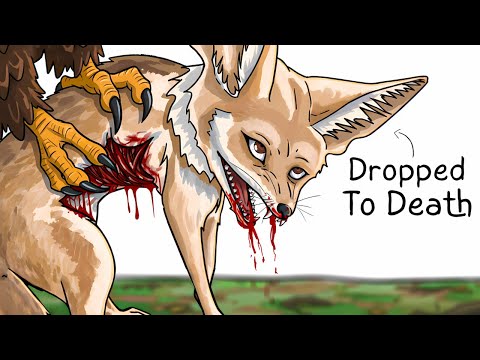 Why it Sucks To Be Born As a Fennec Fox