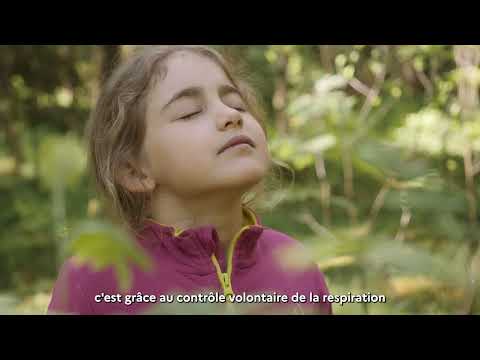 Contrôle volontaire de la respiration. Une plongée dans l’apnée – projet lauréat Impact Santé