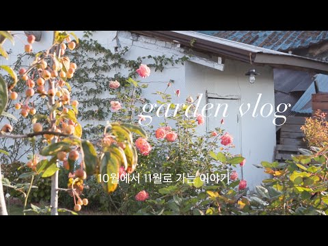 결국,, 남편의 도움을 받았어요🫶 | 은빛꽃 요정들의 잔치🌱 | 겨울을 만나기 위한 준비를 했어요