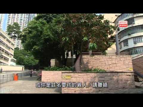 警訊 2013-10-25 (第二部份) - 第二節內容：1)物流公司盜竊案、2)城西道致命交通意外、3)通州街致命交通意外、4)嬰兒被遺棄發現案件、5)2013年公務員優質服務獎勵計劃
