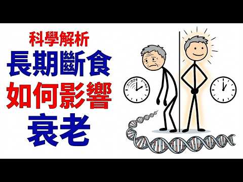 長期間歇性斷食竟能按下衰老暫停鍵？科學家揭秘細胞逆齡真相
