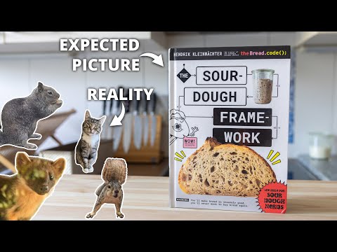 Thanks to You I am now a Squirrel Expert (the most random raffle)