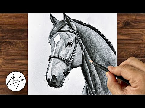 How To Draw a Horse | Step by Step Drawing Tutorial