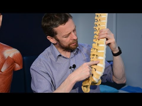 The anatomy of a lumbar puncture (& epidural & spinal anaesthetics)