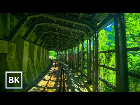 Green Summer Ride in Nagano / 8K 60fps HDR / Calm Piano + Natural Ambience