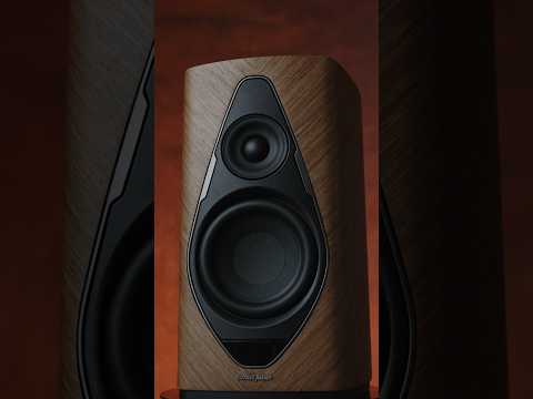 Sonus Faber Duetto Review #shorts #sonusfaber #duetto #audiophile