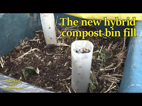 I started filling the hybrid hot compost bin