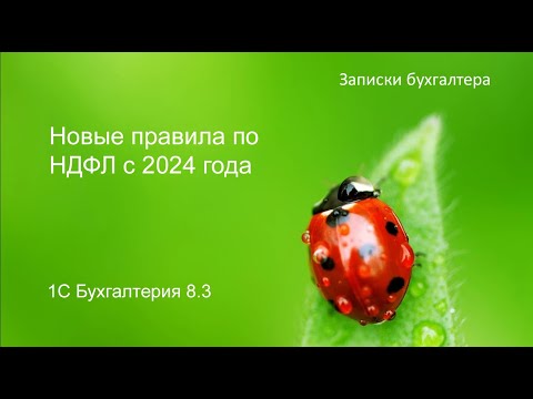 Новые сроки подачи уведомлений и уплаты НДФЛ в 2024 году