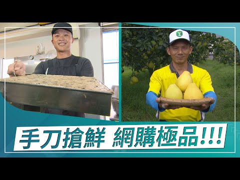 草地狀元-手刀搶鮮網購極品!!!文旦常勝軍VS蘿蔔糕達人(2021.08.09播出)