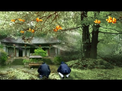 A picnic tree in Wudang Mountain suddenly produces the immortal fruits of immortality