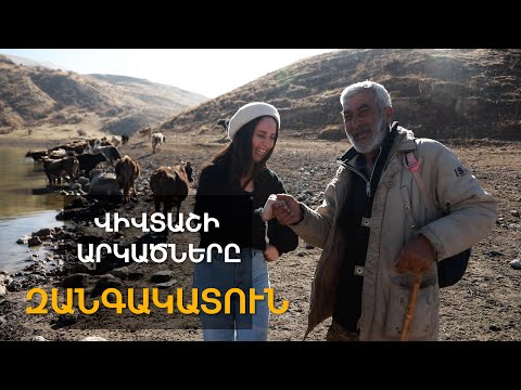 Վիվտաշի արկածները / Զանգակատուն