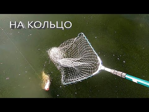 БОРТОВАЯ УДОЧКА Ловля леща на кольцо река Волга