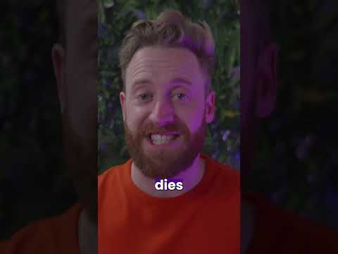 Why does the last 1% of battery last SO LONG?