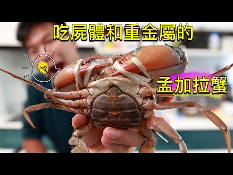 街市︱孟加拉蟹流入街市引起網友熱議，今天跟我實測一下貴價羔蟹 和 平價羔蟹的分別吧 ！ #我不入地獄誰入地獄