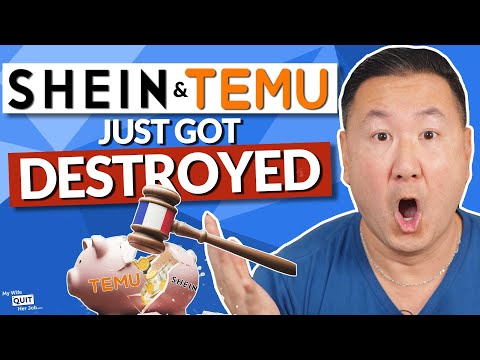 Temu & Shein Just Got Destroyed By France And It’s Great News For You