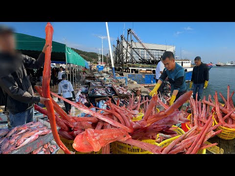 One of China's top ten fishing ports is Zhapo Central Fishing Port in Guangdong Province. Fresh s...