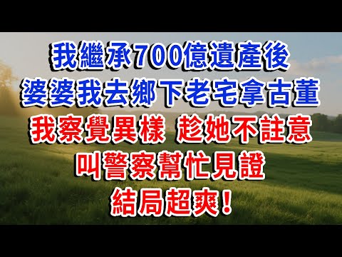我繼承700億遺產後，婆婆我去鄉下老宅拿 “祖傳古董”，我察覺異樣，趁她不註意，叫警察幫忙見證，結局超爽！#琴琴講故事 #為人處世#生活經驗#情感故事#晚年哲理#說故事#完結文