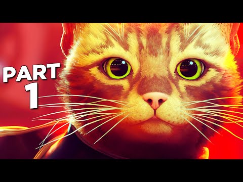 STRAY PS5 Walkthrough Gameplay Part 1 - INTRO (FULL GAME)