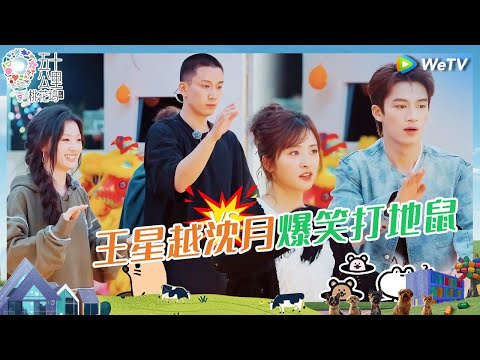 【未播花絮】王子奇单依纯vs沈月王星越 星沈不宁的地鼠对决来了 孙千说志胜很诱人 王建国听无语了《五十公里桃花坞 第四季》Wonderland S4 EP8 CLIP