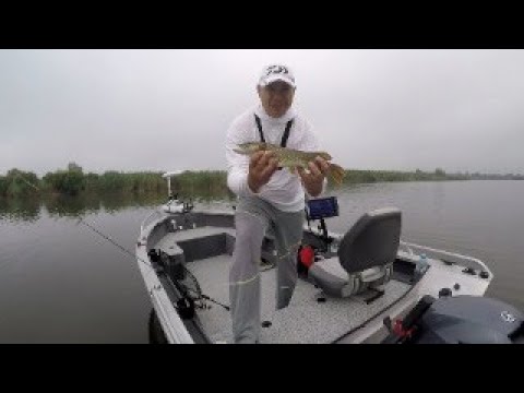 Утрянка на степняке. Рыбалка в Краснодарском Крае .
