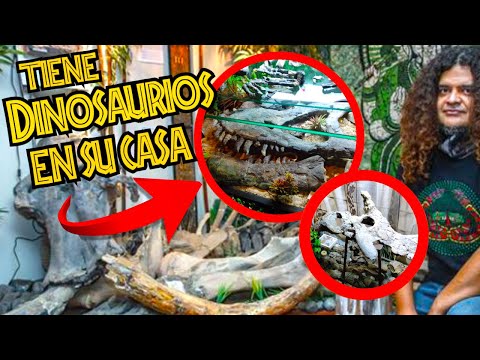 ¡ TIENE DINOSAURIOS y un MAMUT COMPLETO en su CASA!!!