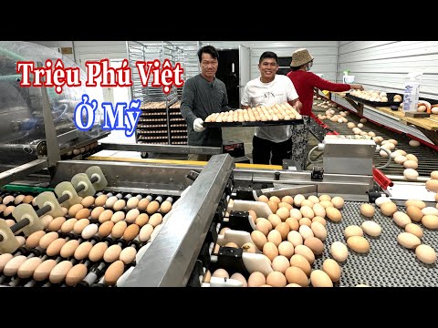 Người Mỹ Nễ Phục Khi Thấy Người Việt Chịu Khó Làm Ăn
