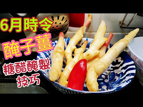 〈職人吹水〉子薑6月時令 /醃酸子薑技巧/ 糖醋汁黃金比例/ 時令食法用途廣泛/ 子薑菠蘿炒牛肉 /子薑皮蛋 /子薑生炒骨 /涼拌子薑