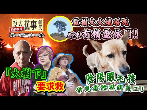 「大樹下」要求救！靈樹大火燒唔死原來有精靈依附！陰陽眼毛孩常見靈體嚇親義工！