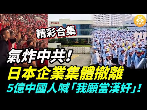 【精彩合集】中共被氣炸了！日本企業集體撤離，5億中國人喊「我願當漢奸」！