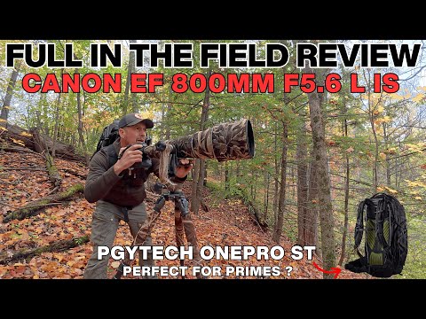 CANON EF 800mm f/5.6L IS Full Field REVIEW – Ultimate Wildlife Lens Test & PGYTECH OnePro ST Bag