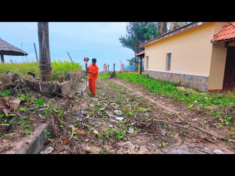 Buried for Years — The Hidden Road to the Sea Finally Returns