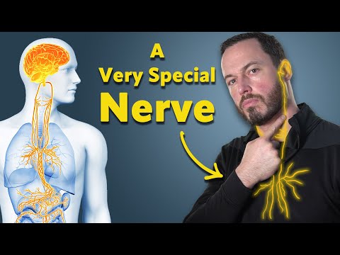 This ONE nerve can impact YOUR chronic pain, digestion, mood and more!