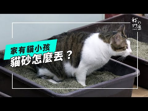 家有貓小孩，貓砂怎麼丟？ (公視我們的島 第1313集 2025-07-07)