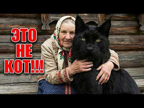 85-летняя бабуля растила котёнка год. То, КЕМ он стал - невероятно!
