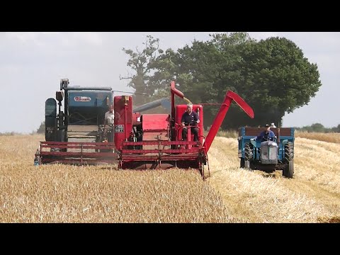 10 Years of Vintage Harvesting at the Little Ellingham Show