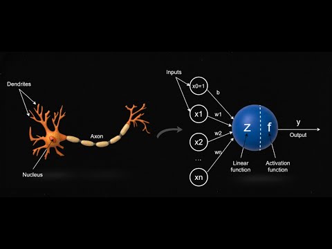 Neural Networks from Scratch - First Principles of AI