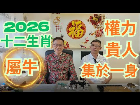 2026年十二生肖 / 屬牛喺二零二六年的命運 / 權力與貴人集於一身 / 小心貪勝不知輸 / 超多少人 /