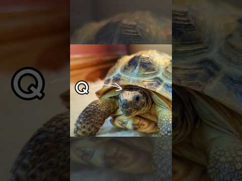 The Future Of Farming With Hydroponics. Full Video now live on our YouTube