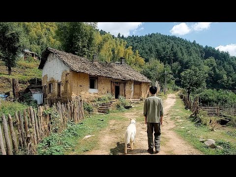Talented Boy Renovates His Mother's Dilapidated House and Turns the Backyard into a Beautiful Garden