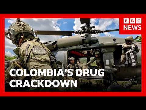 BBC joins Colombia's Jungle Commandos to witness their war on drugs | BBC News
