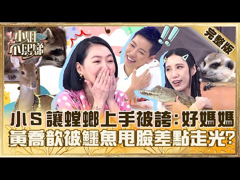 超酷毛小孩！小Ｓ讓螳螂上手被誇「好媽媽代表」！黃喬歆被鱷魚甩臉還差點走光？【#小姐不熙娣】20230822 完整版 EP374 黃喬歆 倪暄