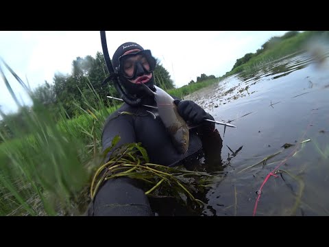 Подводная охота на малых реках. Подводная охота.