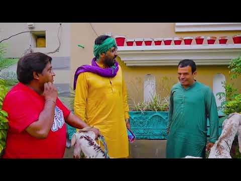 Rana Ijaz Funny Video | Rana Ijaz New Video | Standup Comedy Of Rana Ijaz #comedy #funny