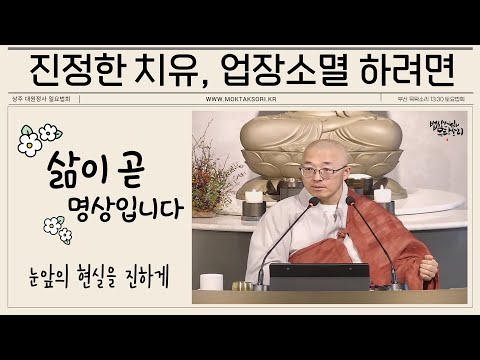 진정한 치유는? 진정한 업장소멸은? 눈앞의 현재를 진하게 살아내려면. 삶이라는 명상.