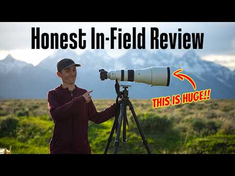 Sigma 300-600mm f/4: GREAT Lens with TWO Problems...